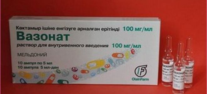 Вазонат капсулы- инструкция по применению, цена, аналоги