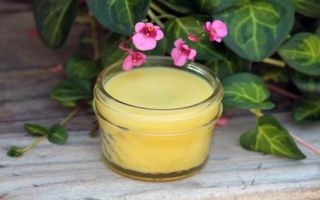 Лечение медом при варикозе — паталогия, методы и рецепты
