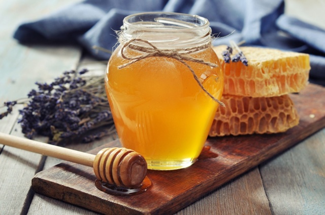 Лечение медом при варикозе - паталогия, методы и рецепты