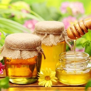 Лечение медом при варикозе - паталогия, методы и рецепты